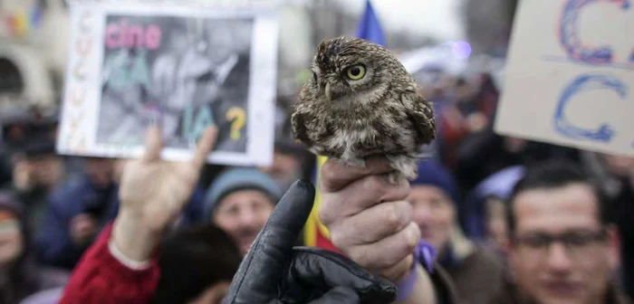 A doua zi de proteste la Cotroceni Foto INQUAM PHOTOS / OCTAV GANEA