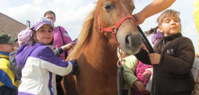 Ferma scoala de la Cornatel atrage zeci de vizitatori