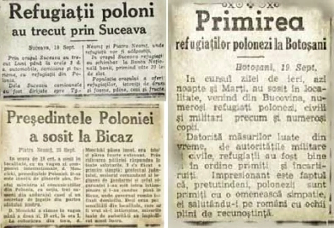 articole jpg jpeg