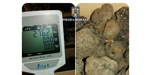 trufelenegre sursapoliceneamt jpeg