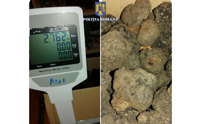 Culegerea trufelor se face doar cu autorizație de la Romsilva FOTO Poliția Neamț