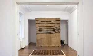 Ştefan Sava: dubla viaţă a imaginii jpeg