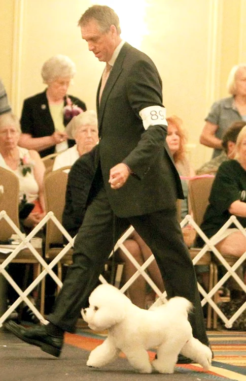 
    Vickie Halstead a castrat bichonul  