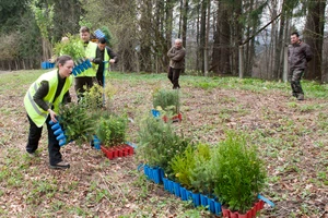 Principesa Maria actiune de plantare Parcul Regal Peles 17 aprilie 2018 foto Casa MS Daniel Angelescu 1 jpeg
