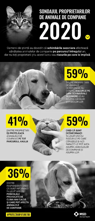 Procentele incluse în infografic reprezintă media datelor statistice obținute la nivelul tuturor țărilor incluse în studiu