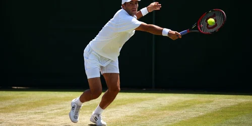 horia tecau foto getty images