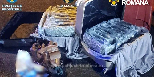 31 kilograme de canabis descoperite de către poliţiştii de frontieră de la Sectorul Poliţiei de Frontieră Nădlac1 jpeg