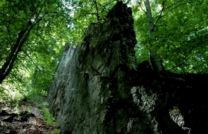 Zidul Uriaşilor pare construit de om Foto: lataifas.ro
