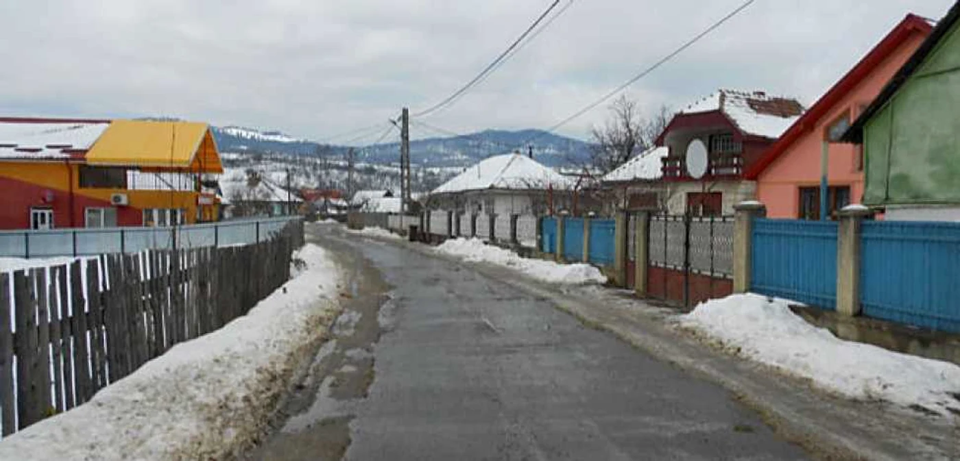 vasiesti moinesti