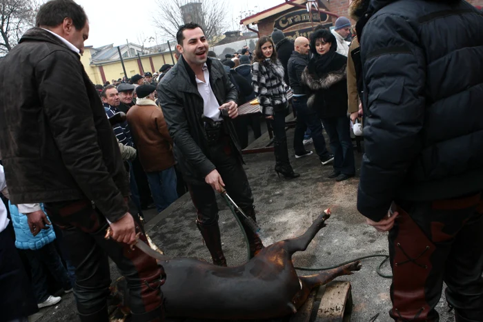 Cea mai mare brânză - Bucureşti, 20 ianuarie 2011