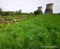 Așezarea antică Micia Foto Daniel Guță ADEVĂRUL (17) jpg
