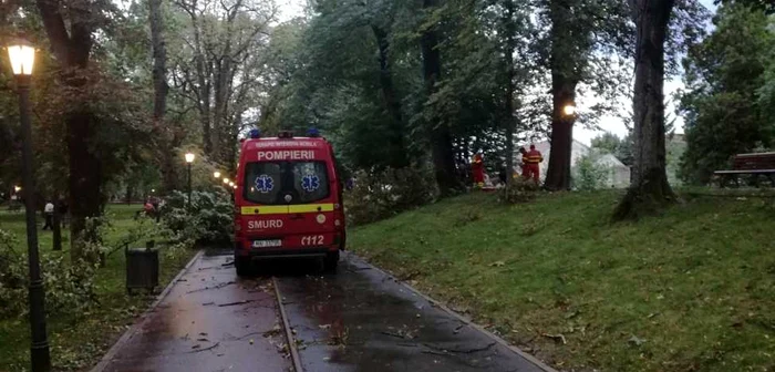 Bărbatul a fost lovit de o creangă în Parcul Municipal