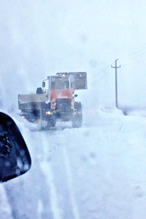 Florina Găitan are 22 de ani, e dansatoare profesionistă şi fotomodel