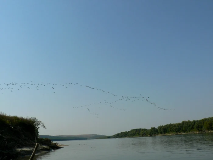 Debitul Dunării, în creştere