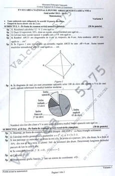 Subiecte Capacitate Matematica - Crop si Color Adjusted