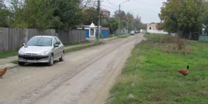 Strada este lipsită de asfalt, spre bucuria localnicilor care-şi lasă găinile să mănânce iarba