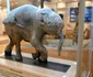 2 pui de mamut jpg jpeg