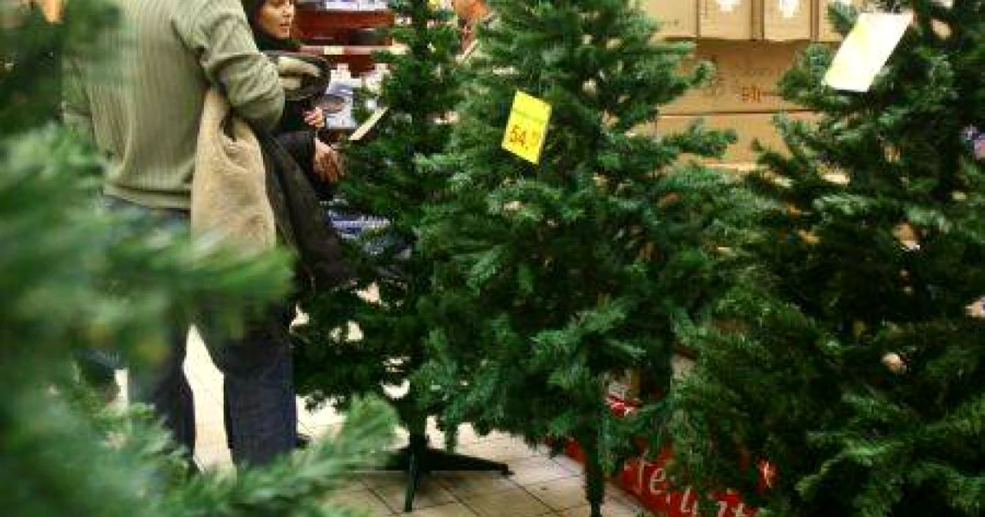 Magazinele au oferte bune la brazii artificiali  Foto: Arhivă