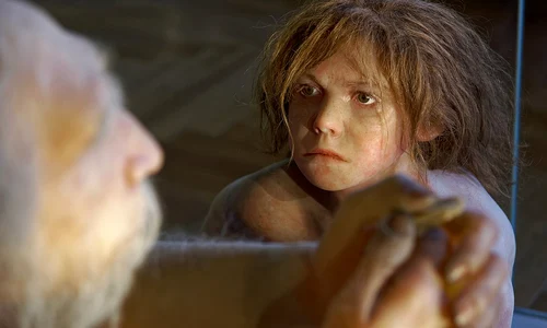 Homo neanderthalensis, reconstrucție la Muzeul de Istorie Naturală din Viena (© Jakub Hałun / Wikimedia Commons) 