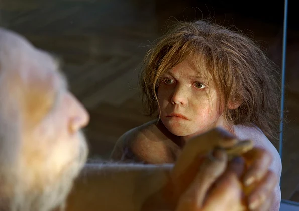 Homo neanderthalensis, reconstrucție la Muzeul de Istorie Naturală din Viena (© Jakub Hałun / Wikimedia Commons) 