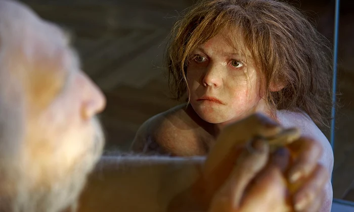 Homo neanderthalensis, reconstrucție la Muzeul de Istorie Naturală din Viena (© Jakub Hałun / Wikimedia Commons) 