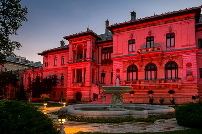 Palatul Cotroceni și Guvernul vor fi iluminate în roșu, în semn de solidaritate cu copiii și tinerii afectați de boala Duchenne
