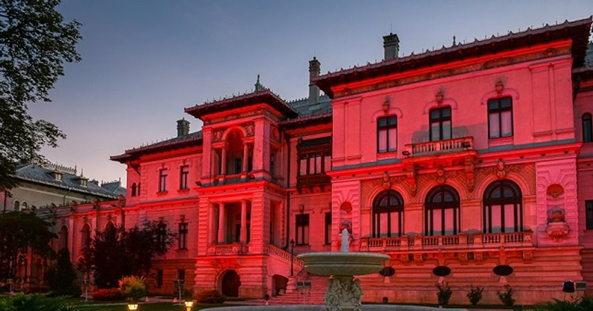 Palatul Cotroceni și Guvernul vor fi iluminate în roșu, în semn de solidaritate cu copiii și tinerii afectați de boala Duchenne