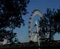 DSC06313 JPG