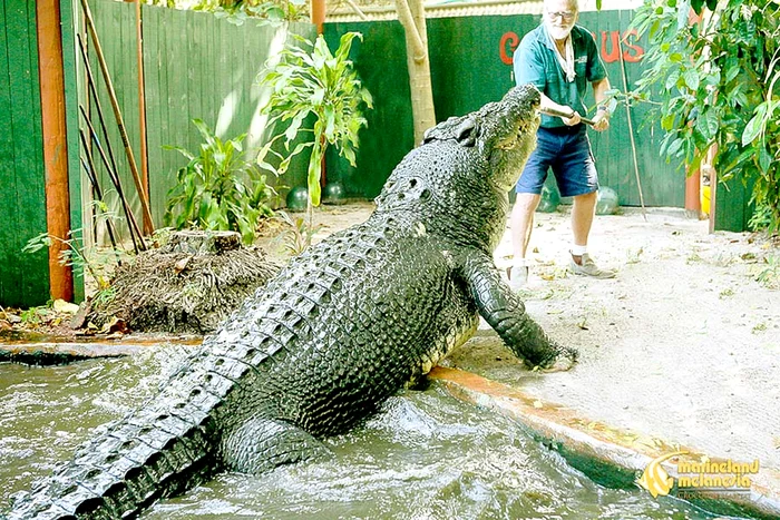 
    “Mmm, dar tortul când vine?” (Foto: Photoland/Wenn)  