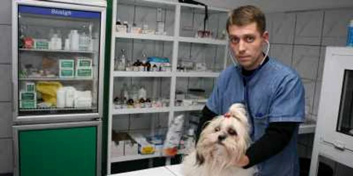 Alexandru Chesler iubeşte animalele, în special câinii
