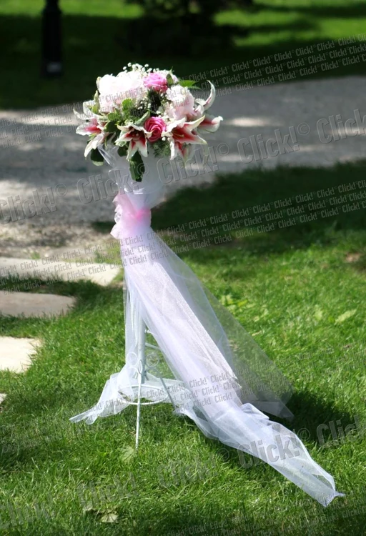 Alina Sorescu botez