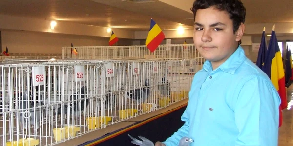Nemţenii admiră porumbeii aduşi la expoziţie