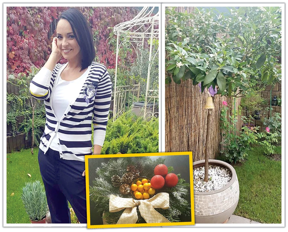 
    Andreea Marin  a plantat  mandarinul în  primăvară, iar  acum a cules  fructele exotice  