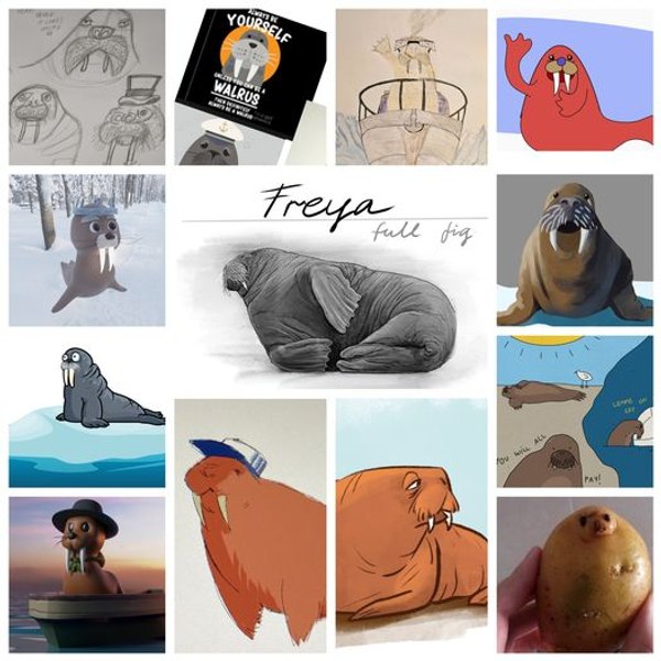 Filmul despre morsa Freya, produs la Timișoara, iese la rampă. Coproducția România-Norvegia, prezentată în lume VIDEO
