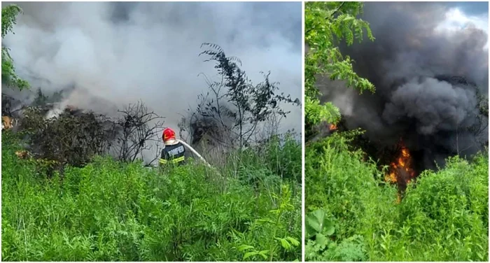 Incendiu  de pădure FOTO: As în Gorj