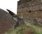 Cetatea Colț  Foto Daniel Guță  ADEVĂRUL (1) JPG