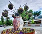 Amenajări florale pe străzile şi în parcurile din Râmnicu Vâlcea Foto Primăria Râmnicu Vâlcea