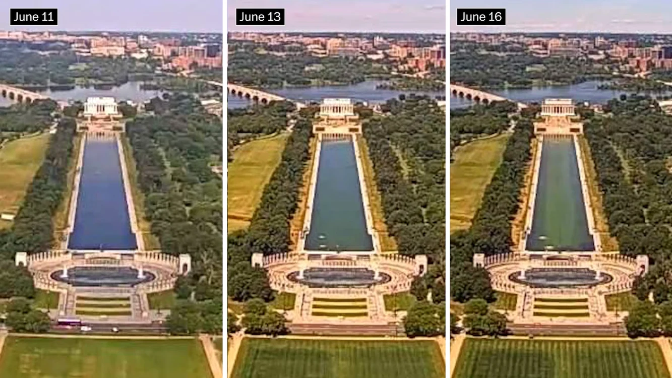 Fotografiile realizate de EarthCam între 11 și 16 iunie arată dezvoltarea algelor