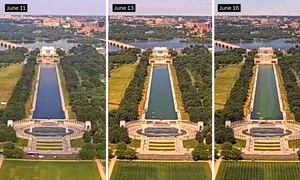 Bazinul din fața Memorialului Lincoln s-a umplut din nou de alge după lucrări de aproape 15 milioane de dolari