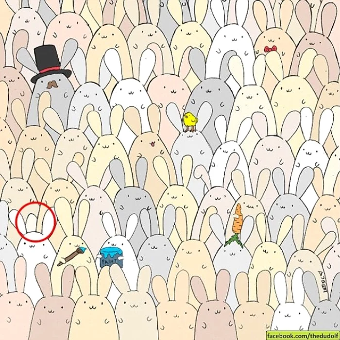 Rezolvarea provocării / foto: Dudolf