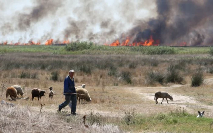 În fiecare an izbucnesc incendii în Delta Dunării