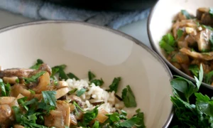 stroganoff ciuperci jpeg