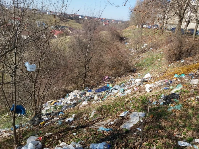 Primarul Piteştiului propune majorarea cu 500% a impozitului pe clădirile şi terenurile neîngrijite