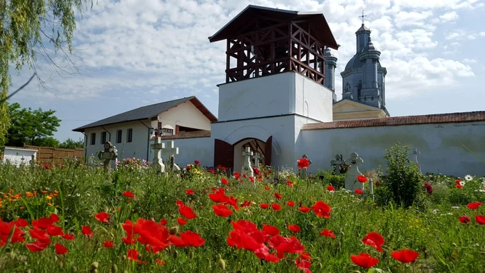 calarasi negoiesti