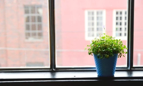 1 73194 original jpg jpeg