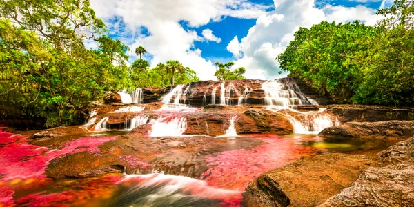 raul Caño Cristales foto shutterstock