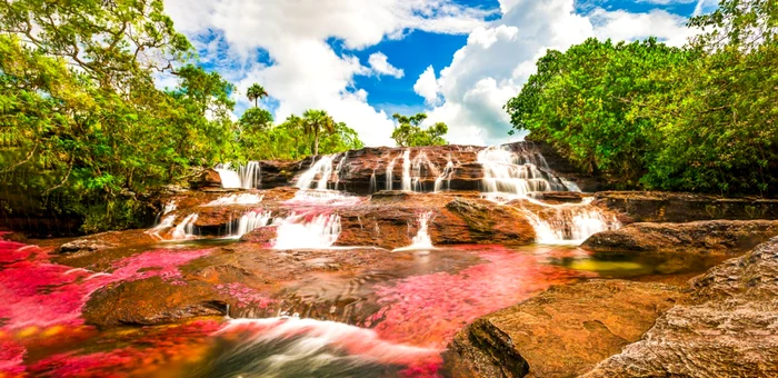 Râul Caño Cristales din Columbia FOTO Shutterstock