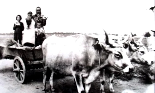 Viaţa la ţară în Bărăganul interbelic  Ţăranii primelor decenii ale secolului XX, măcinaţi de foamete şi boli jpeg