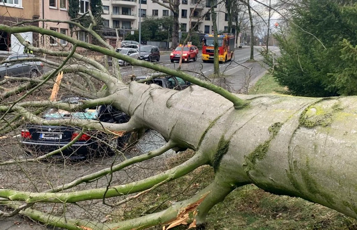 Maşină avariată de un copac căzut la pământ după trecerea furtunii EberhardFOTO Twitter @FW_Bochum