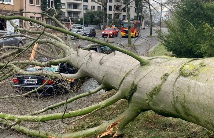 Maşină avariată de un copac căzut la pământ după trecerea furtunii EberhardFOTO Twitter @FW_Bochum